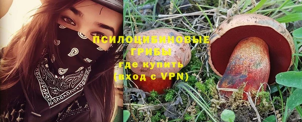spice Алексеевка