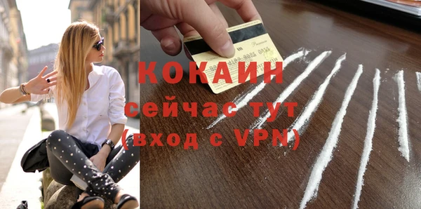 PSILOCYBIN Липки