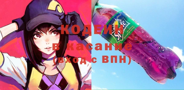 хмурый Аркадак
