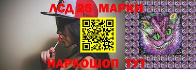 хмурый Сланцы