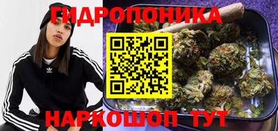 эйфоретик Славгород