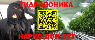 эйфоретик Славгород