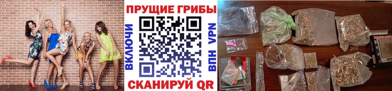 купить  сайты  Павловский Посад  Галлюциногенные грибы MAGIC MUSHROOMS 