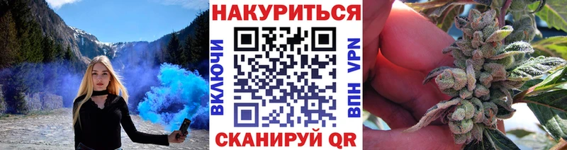 Конопля OG Kush Павловский Посад