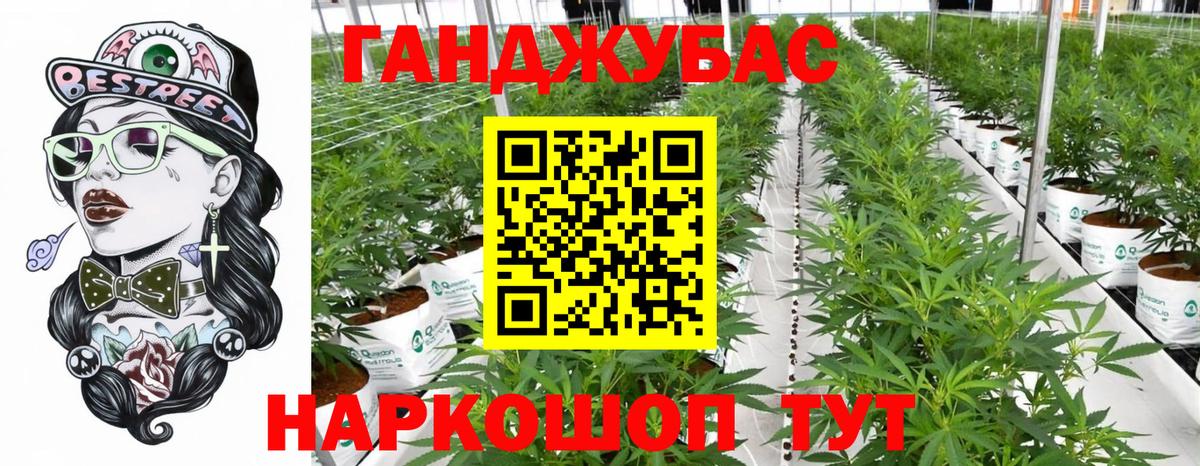 МАРИХУАНА конопля Павловский Посад